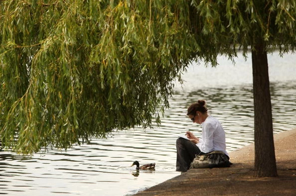 The UK Swelters Under Summer Sunshine