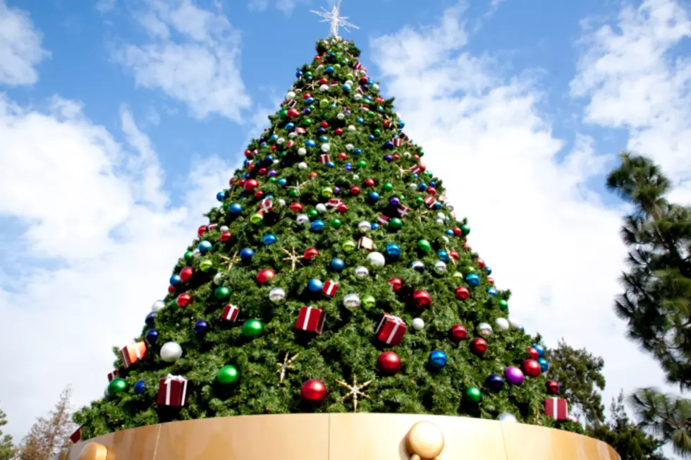Holiday Fun is Coming During Christmas in Canyon