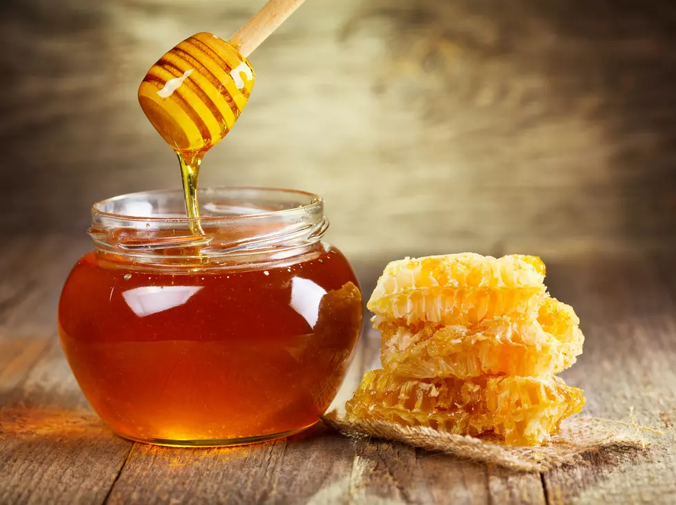 Take A Beehive Tour In Canyon Through September