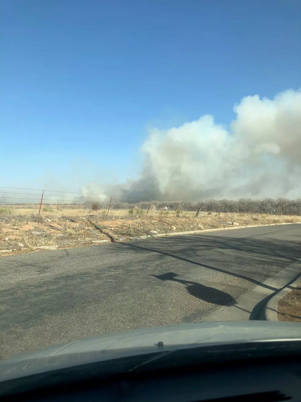 Hey Amarillo, Keep Those Butts In Your Car